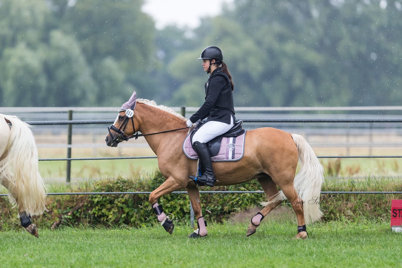 Bild 199 - Pony Akademie Turnier